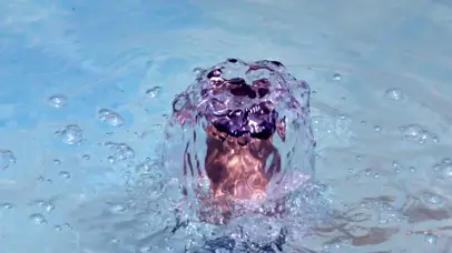 放松与宁静的喷泉