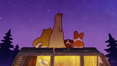 柯基 一起露营看星空