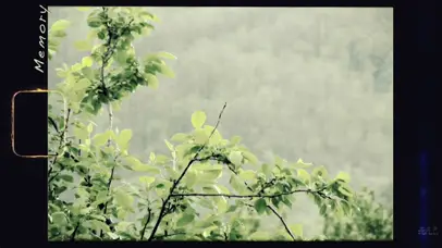 王俊凯雨中拍摄2