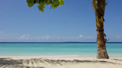 沙滩海岸