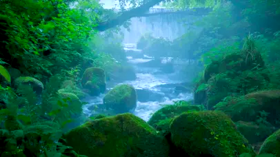 清晨溪流瀑布鸟鸣