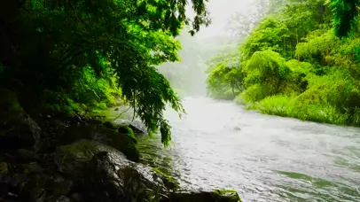 4K山川雨雾溪流