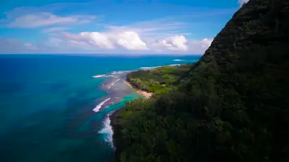 4K夏威夷风景