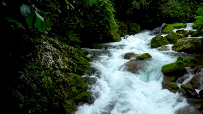 山涧溪流