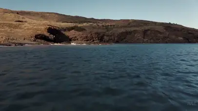 海岸