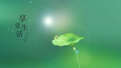 人生文字美丽荷叶