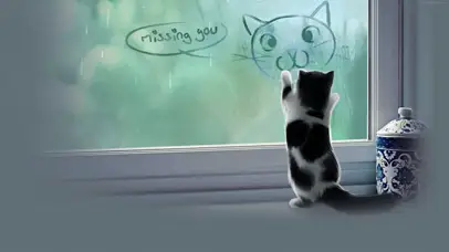 Miss-You-Cat