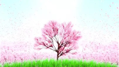 唯美治愈漫天樱花飞舞
