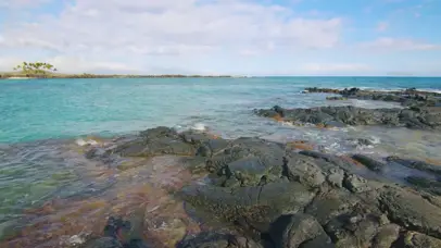 自然海滩海浪拍打礁石