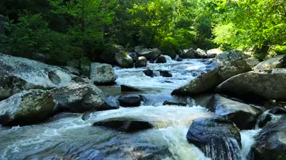 山涧流水