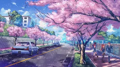 樱花街道