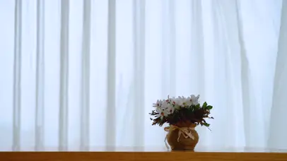 4K唯美小清新风吹动纱窗窗帘