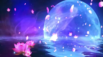 月亮代表我的心