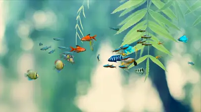 4k薄荷绿护眼游鱼