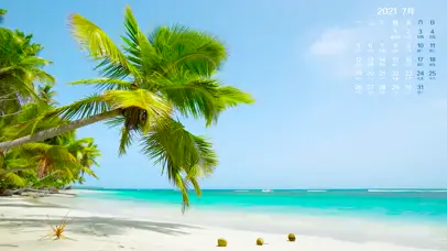 七月日历椰树海滩