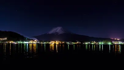 烟花小镇河口湖冬花