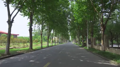 4k大学校园骑车穿梭林荫大道