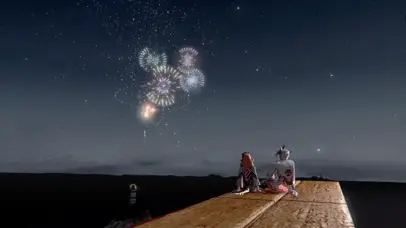 夜晚看烟花
