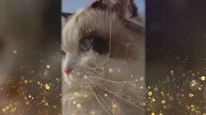 亚瑟点心-9屏亚瑟