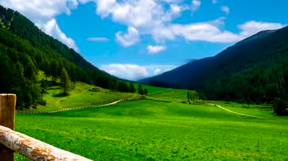 4k 护眼蓝天草原