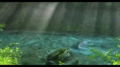 阳光下的溪流