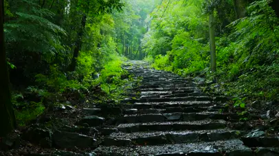 4k雨中台阶