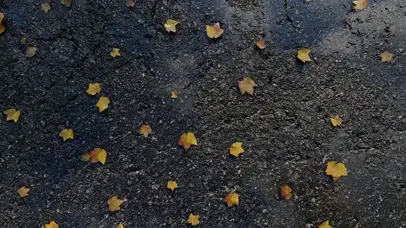 新雨未晴（四倍高清）