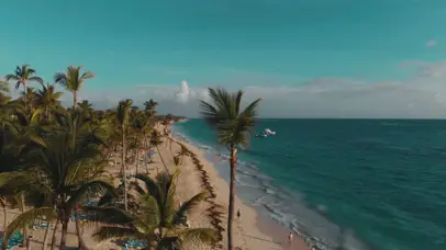 海滩海洋