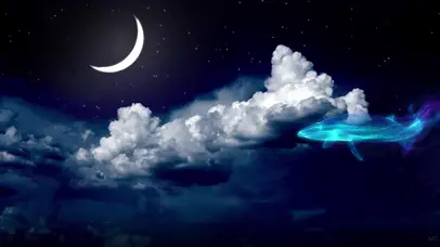 唯美云中的鲸鱼