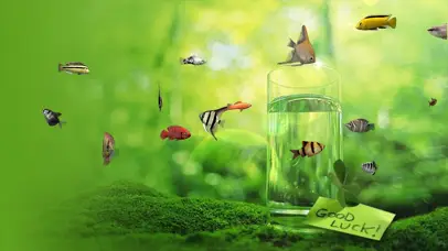 绿色生活放松鱼儿