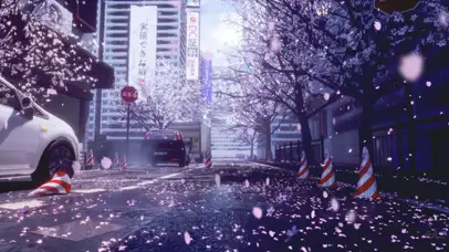 看着樱花想你——起风了