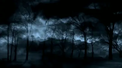 黑暗森林与闪电和云