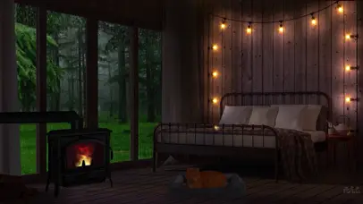 舒适雨夜卧室大橘