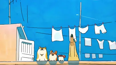 柯基 愉快的下午