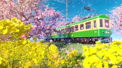 樱花列车