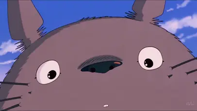 治愈大龙猫