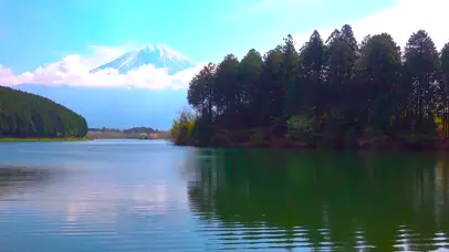 富士山下湖泊荡漾