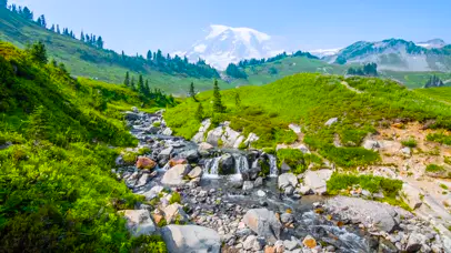 高山溪流