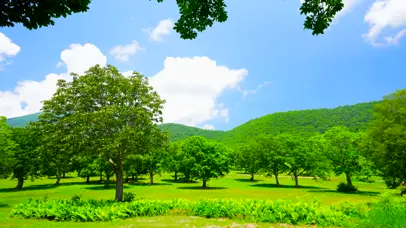 夏日蓝天白云青山绿树