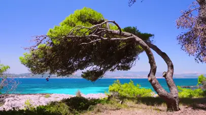 沙滩海岸