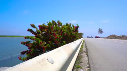 夏季公路海边唯美海风风景