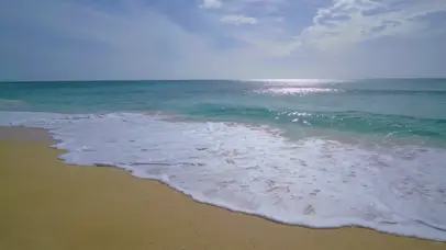4K 纯净的海滩