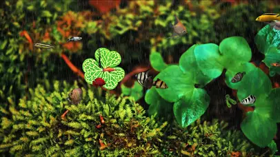 下雨天水中护眼鱼