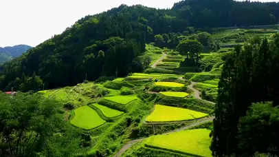 家乡田园
