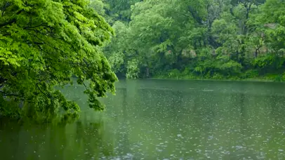 清凉雨天绿树湖面