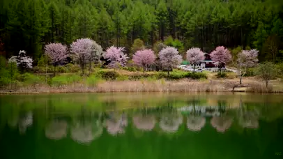 浪漫湖泊