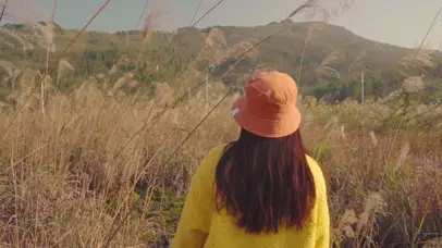  芦苇萧萧吹晚风