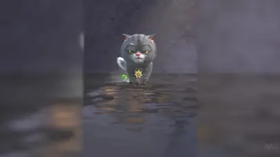 斑布猫-你比自己想象的更强大