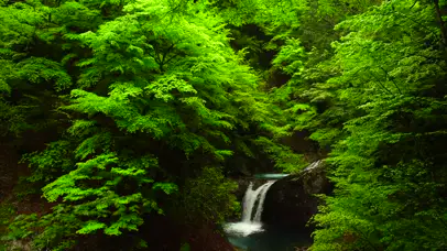 4K新绿护眼瀑布