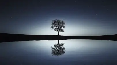 星空下的树